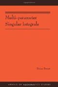 Multi-parameter Singular Integrals
