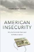 American Insecurity - Why Our Economic Fears Lead to Political Inaction