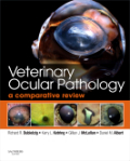 Veterinary ocular pathology: a comparative review
