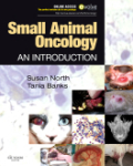 Small animal oncology: an introduction