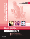 Small animal oncology