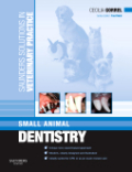 Small animal dentistry