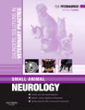 Small animal neurology