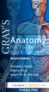 Gray's anatomy for students flash cards: [with student consult online access]