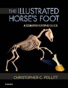 The Illustrated Horses Foot: A comprehensive guide