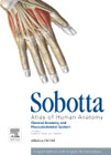 Sobotta Atlas of Human Anatomy, Vol.1, 15th ed. English: General Anatomy and Musculoskeletal System