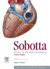 Sobotta Atlas of Human Anatomy, Vol.2, 15th ed. English: Internal Organs
