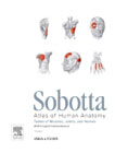 Sobotta Tables of Muscles, Joints and Nerves, English: Tables to 15th ed. of the Sobotta Atlas
