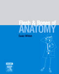 The flesh and bones of anatomy