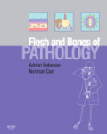 The flesh and bones of pathology