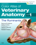 Color atlas of veterinary anatomy v. 1 The ruminants