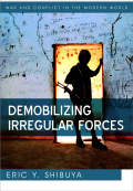 Demobilizing irregular forces