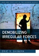 Demobilizing irregular forces