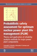 Probabilistic safety assessment for optimum nuclear power plant life management (PLiM): theory and application of reliability analysis methods for major power plant components