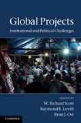 Global projects: institutional and political challenges