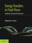 Energy Transfers in Fluid Flows: Multiscale and Spectral Perspectives