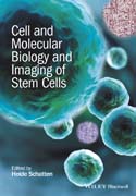 Cell and Molecular Biology of Stem Cell Imaging