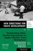 Transforming Youth Serving Organizations to Support Healthy Youth Development