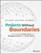 Projects Without Boundaries: Successfully Leading Teams and Managing Projects in a Virtual World