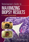 Veterinarian´s Guide to Maximizing Biopsy Results