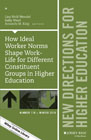 How Ideal Worker Norms Shape Work-Life for Different Constituent Groups in Higher Education, HE176