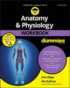 Anatomy and Physiology Workbook For Dummies: with Online Practice