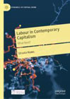 Labour in contemporary capitalism: what net?