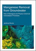Manganese Removal from Groundwater: Role of Biological and Physico-Chemical Autocatalytic Processes