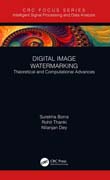 Digital Image Watermarking: Theoretical and Computational Advances