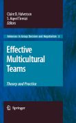 Effective multicultural teams: theory and practise