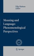 Meaning and language: phenomenological perspectives