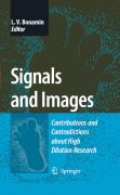 Signals and images: contributions and contradictions about high dilution research