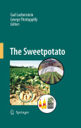 The sweetpotato