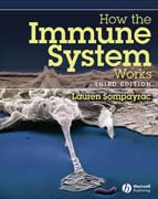 How the immune system works