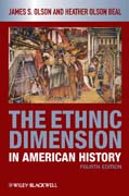 The ethnic dimension in american history