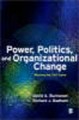 Power, politics and organizational change