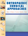 Orthopaedic surgical approaches