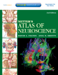 Netter's atlas of neuroscience: with student consult online access