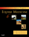 Current therapy in equine medicine