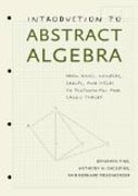 Introduction to Abstract Algebra - From Rings, Numbers, Groups, and Fields to Polynomials and Galois Theory