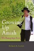 Growing Up Amish - The Rumspringa Years 2ed