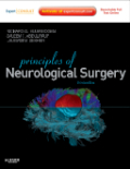 Principles of neurological surgery: expert consult - online and print
