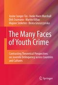 The many faces of youth crime: contrasting theoretical perspectives on juvenile delinquency across countries and cultures