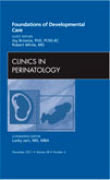 Foundations of developmental care: an issue of clinics in perinatology