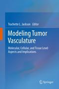 Mathematical and computational modeling of tumor vasculature: putting angiogenesis in 4-dimensions