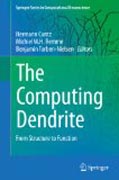 Dendritic Computations Through Morphology and Connectivity