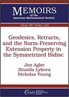 Geodesics, Retracts, and the Norm-preserving Extension Property in the Symmetrized Bidisc
