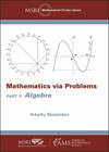 Mathematics via Problems 1 Algebra