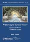 A gateway to number theory: applying the power of algebraic curves