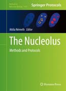 The Nucleolus